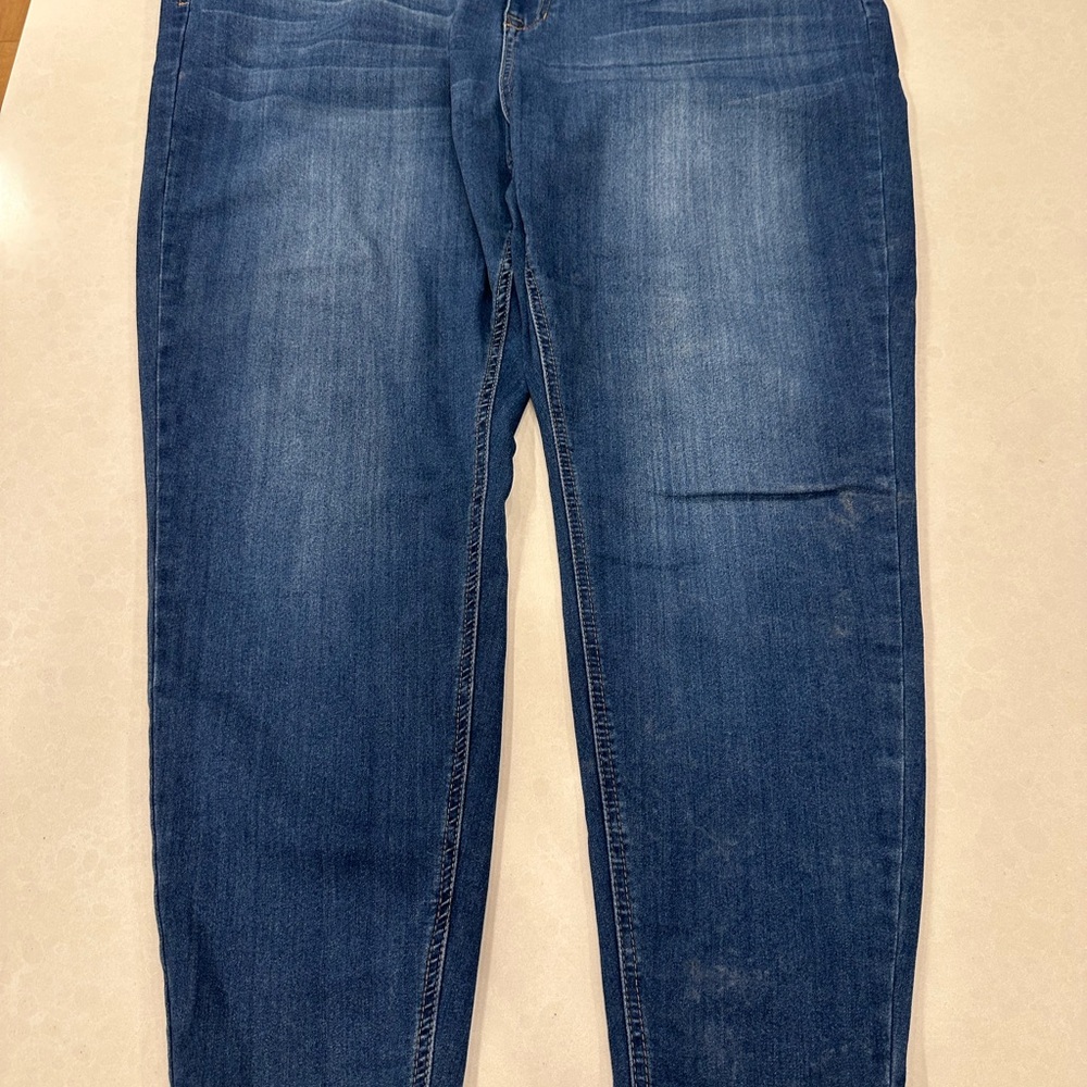Classic Blue Skinny Jeans for Women